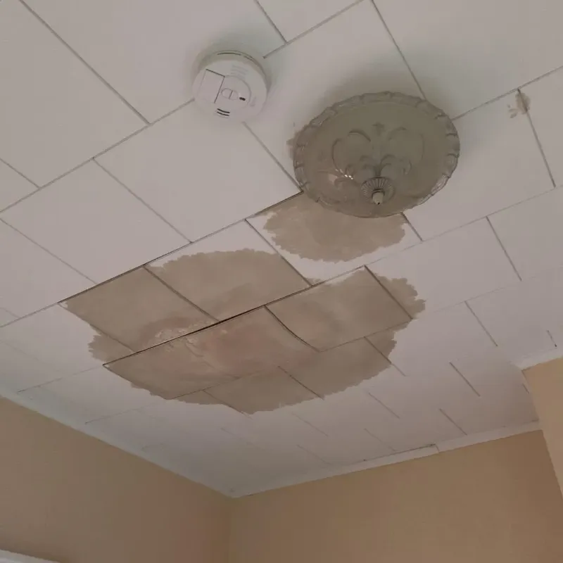 Ceiling Water Damage Repair in Dayton, TX